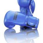 StrIIps - VEICRO - Boxhandschuhe