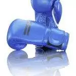 StrIIps - VEICRO - Boxhandschuhe