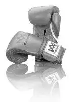 PunchBro - PowerLock BUNX - Boxhandschuhe – Bild 8