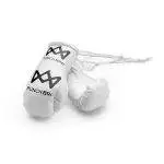 PunchBro - Micro's Autospiegel-Miniboxhandschuhen