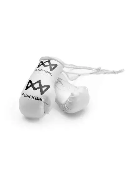 PunchBro - Micro's Autospiegel-Miniboxhandschuhen