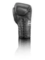 PunchBro - StrikeLace Janissary - Boxhandschuhe – Bild 4