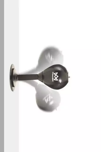 PunchBro Mini Punchingball